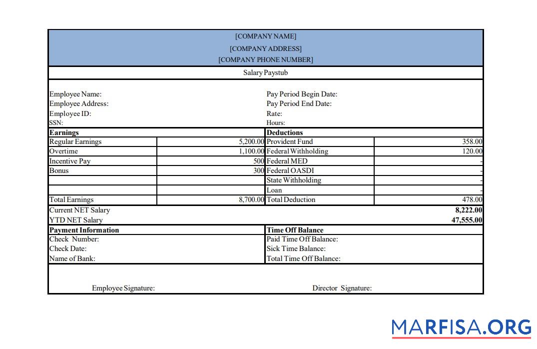 Printable Salary pay stub, version 2 real example